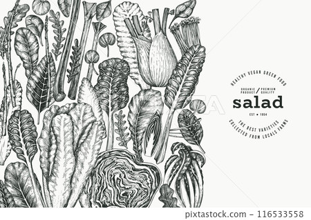 Green Vegetable Design Template. Vector Hand Drawn Healthy Leaf Salad Banner. Vintage Style Menu Illustration. 116533558
