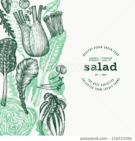 Green Vegetable Design Template. Vector Hand Drawn Healthy Leaf Salad Banner. Vintage Style Menu Illustration. 116533560