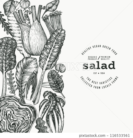 Green Vegetable Design Template. Vector Hand Drawn Healthy Leaf Salad Banner. Vintage Style Menu Illustration. Green Vegetable Design Template. Vector Hand Drawn Healthy Leaf Salad Banner. Vintage Style Menu Illustration. 116533561