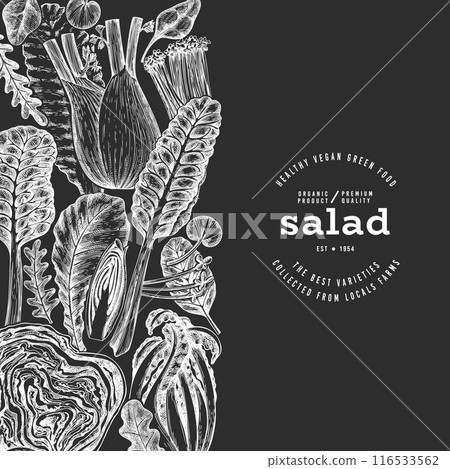 Green Vegetable Design Template. Vector Hand Drawn Healthy Leaf Salad Banner. Vintage Style Menu IllustrationOn Chalk Board. Green Vegetable Design Template. Vector Hand Drawn Healthy Leaf Salad Banner. Vintage Style Menu IllustrationOn Chalk Board. 116533562