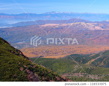 Autumn view of the Northern Alps from Mount Tengu in the Yatsugatake Mountains 116533975