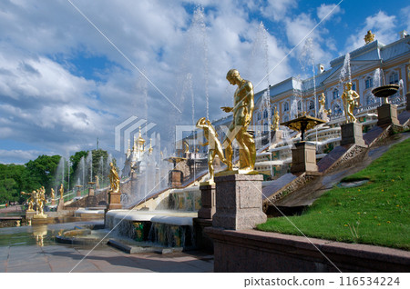 Grand cascade .Peterhof Palace Grand cascade .Peterhof Palace 116534224