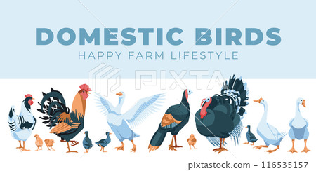 Horizontal set of domestic farm animals. Vector flat illustration. Farming and agriculture 116535157