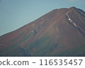 Mount Fuji with mountainside visible 116535457