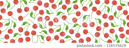 Hand drawn watercolor ripe cherries seamless border isolated on white background. Can be used for textile, fabric, scrapbook and other printed products. Hand drawn watercolor ripe cherries seamless border isolated on white background. Can be used for textile, fabric, scrapbook and other printed products. 116535629