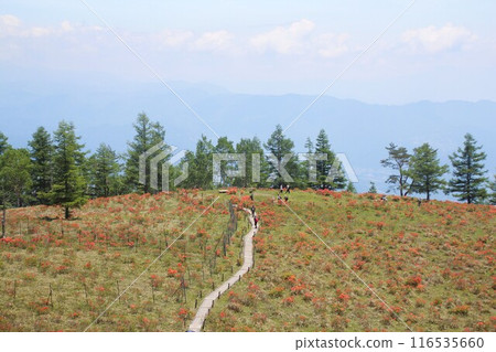 Mt. Amari Mt. Amari 116535660