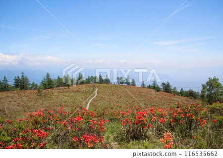 Mt. Amari Mt. Amari 116535662