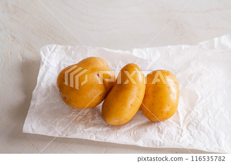 水洗印加覺醒 116535782