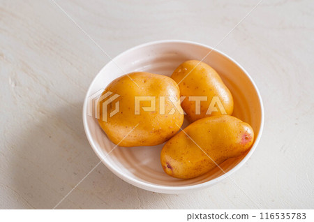 The Awakening of the Washed Inca The Awakening of the Washed Inca 116535783