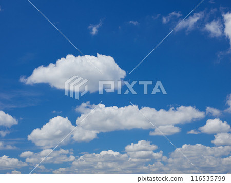 Beautiful summer blue sky and clouds 116535799