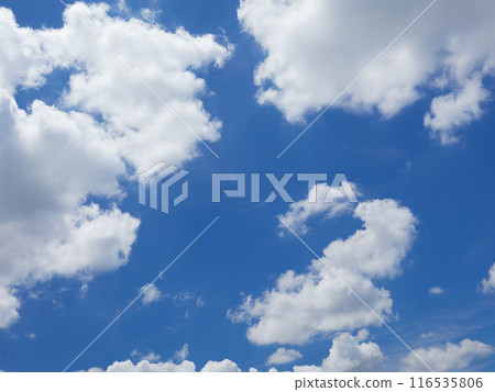 Beautiful summer blue sky and clouds 116535806