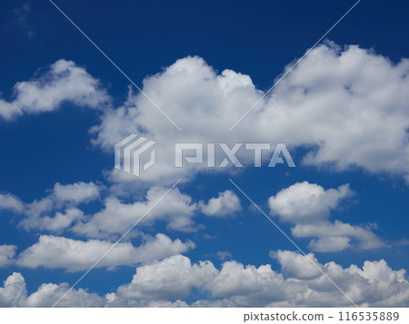 Beautiful summer blue sky and clouds 116535889