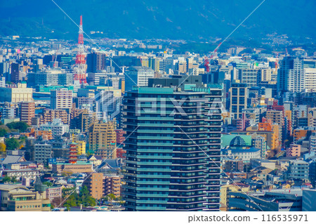 Image of Fukuoka cityscape 116535971