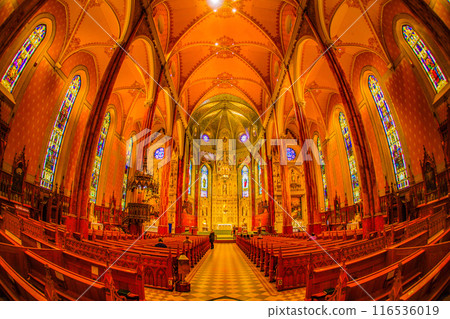 St. Patrick's Cathedral (Montreal) 116536019
