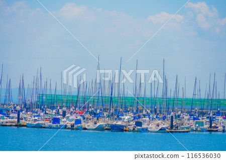 橫濱Bayside Marina 橫濱Bayside Marina 116536030