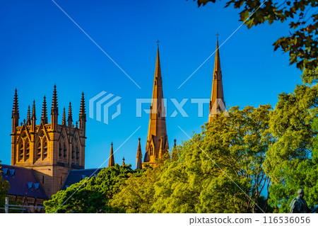 Blue sky and the cathedral Blue sky and the cathedral 116536056