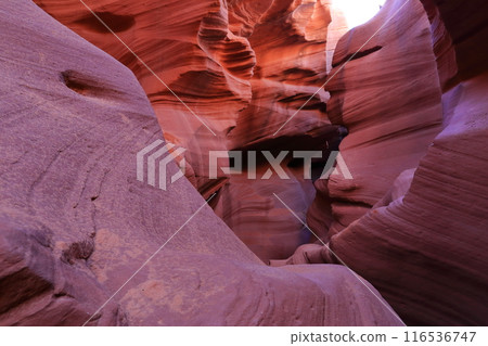 美國亞利桑那州羚羊峽谷 美國亞利桑那州羚羊峽谷 116536747