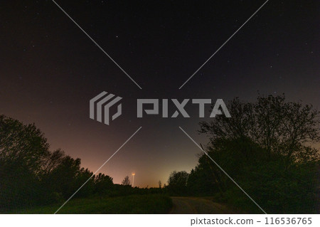 Night sky with silhouetted trees and faint glow, a serene scene in the outdoor landscape Night sky with silhouetted trees and faint glow, a serene scene in the outdoor landscape 116536765