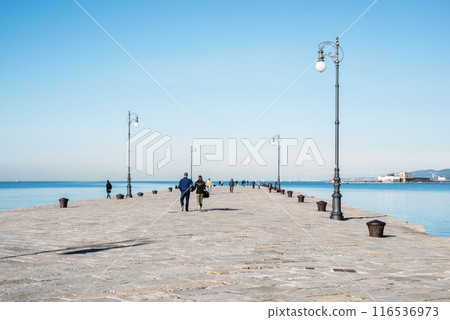 walking Audace pier 116536973