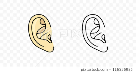 Ear, earlap, listening and listen, graphic design. Sense organs, hearing, sound and hear, vector design and illustration Ear, earlap, listening and listen, graphic design. Sense organs, hearing, sound and hear, vector design and illustration 116536985