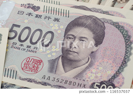 Tsuda Umeko's 5,000 yen note Tsuda Umeko's 5,000 yen note 116537037