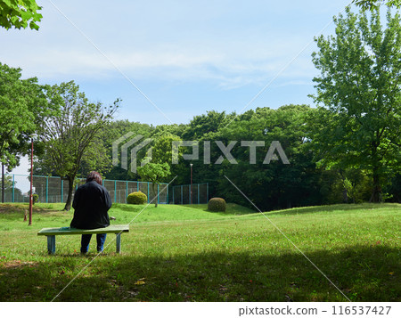 A middle-aged woman sitting and reading on a bench in a summer park A middle-aged woman sitting and reading on a bench in a summer park 116537427