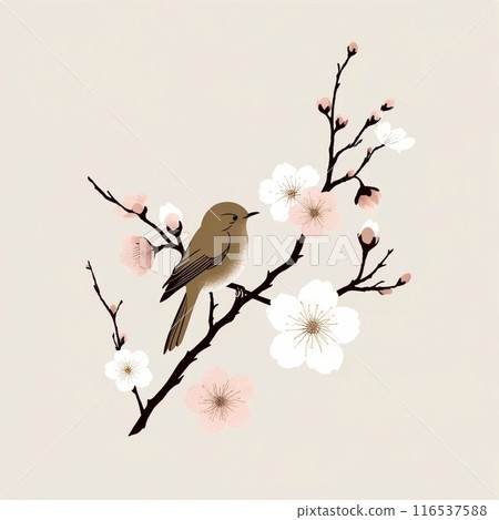 Bird on Sakura Branch Bird on Sakura Branch 116537588