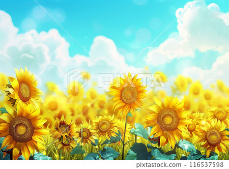 Sunflower in the blue sky 116537598