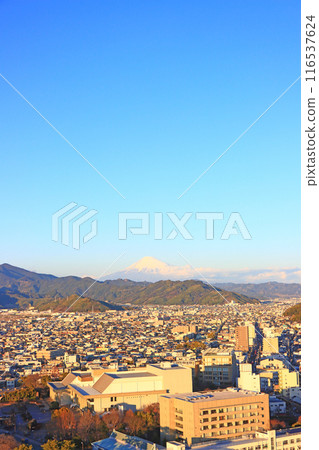 從靜岡縣政府展望台看到的富士山風景，靜岡縣靜岡市 116537624