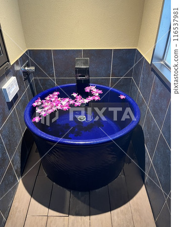 溫泉露天浴池包廂 116537981