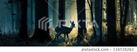 一大早在森林裡遇見了一隻美麗又夢幻的梅花鹿 一大早在森林裡遇見了一隻美麗又夢幻的梅花鹿 116538262