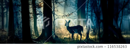 Beautiful deer standing among the trees in a deep forest early in the morning Beautiful deer standing among the trees in a deep forest early in the morning 116538263