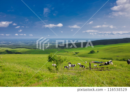 Naitai Takahara Ranch 116538529