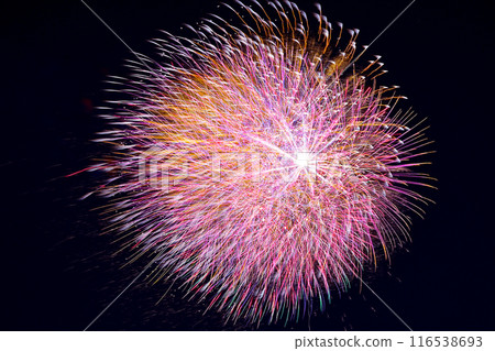 美麗的煙火照亮了夜空 116538693