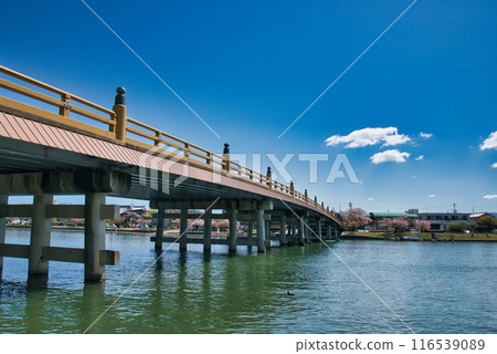 Seta no Karahashi Bridge, one of Japan's three most famous bridges Seta no Karahashi Bridge, one of Japan's three most famous bridges 116539089