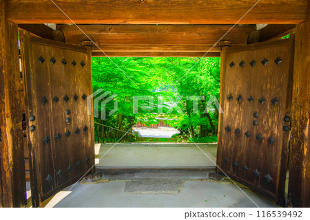 [上正寺]新綠與三門[木曾郡奧輪村] 116539492