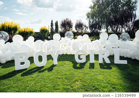 Large-scale photo zone made of white balloons and large letters at a gender party. 116539499