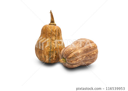 Butternut Squash or Calabash pumpkins, produce from a farm, on a iSolated white background Butternut Squash or Calabash pumpkins, produce from a farm, on a iSolated white background 116539953