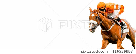 Focused and competitive jockey in orange uniform leaning on horse, galloping fast during race, white background. Focused and competitive jockey in orange uniform leaning on horse, galloping fast during race, white background. 116539998