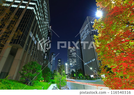 [Osaka Prefecture] Night view of Osaka Business Park 116540316