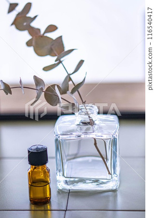 Botanical interior and aroma Botanical interior and aroma 116540417
