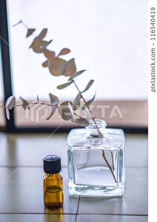 窗邊自然的室內裝飾 116540419