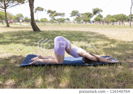 A Young Woman Finds Serenity While Practicing Yoga in a Beautiful, Sun-Drenched Park Surrounded by Nature 116540764