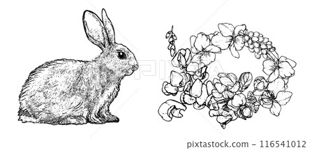 Graphical spring set isolated on white background, vector illustration Graphical spring set isolated on white background, vector illustration 116541012
