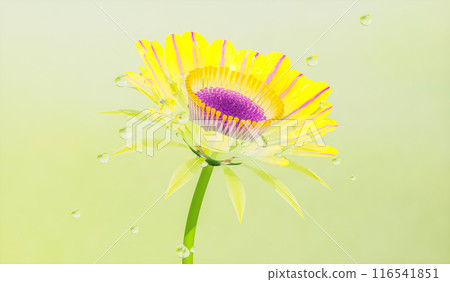 Abstract crystal yellow flower blooming with water drops on isolated background. 3d rendering. Abstract crystal yellow flower blooming with water drops on isolated background. 3d rendering. 116541851