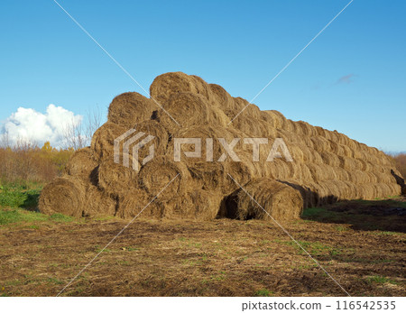 pyramid of hay pyramid of hay 116542535
