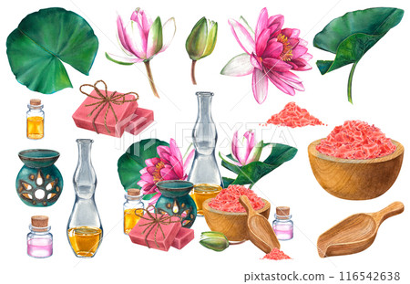 Pink Himalayan salt in a wooden bowl, scoop, glass bottle with oil, ceramic aroma lamp, pink handmade soap bars, water lily flowers, leaves. Hand drawn watercolor illustration on isolated background. Pink Himalayan salt in a wooden bowl, scoop, glass bottle with oil, ceramic aroma lamp, pink handmade soap bars, water lily flowers, leaves. Hand drawn watercolor illustration on isolated background. 116542638