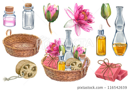 Spa set, wicker round basket, soap, dropper bottle, dried loofah, bottle of lotion for body care and pink water lily. Handmade watercolor composition. Suitable for cosmetic design, cards, packaging. 116542639