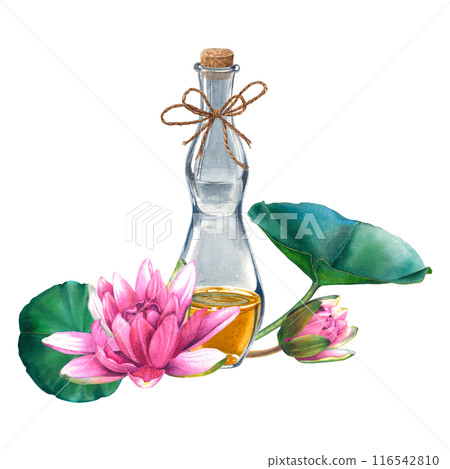 Glass bottle with essential oil surrounded by pink water lily flowers. Hand drawn watercolor illustration of vintage flacon with lotus on isolated background for aromatherapy, advertising of cosmetic. 116542810