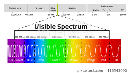 Spectrum wavelength. Visible spectrum color range. Educational physics light line. Light wave frequency. Wavelengths of the visible part of the spectrum for human eyes Spectrum wavelength. Visible spectrum color range. Educational physics light line. Light wave frequency. Wavelengths of the visible part of the spectrum for human eyes 116543090